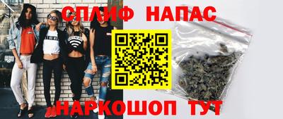 прущие грибы Нальчик