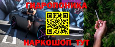 прущие грибы Нальчик