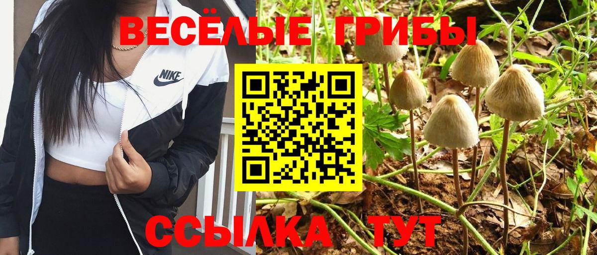 Псилоцибиновые грибы мицелий Рославль